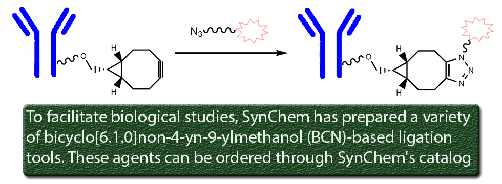 Synchem Inc