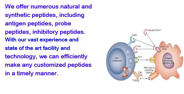 Aces Pharma Inc