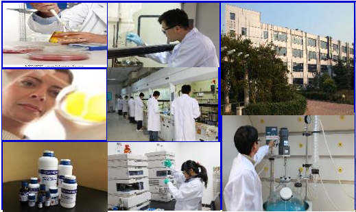 Aces Pharma Inc